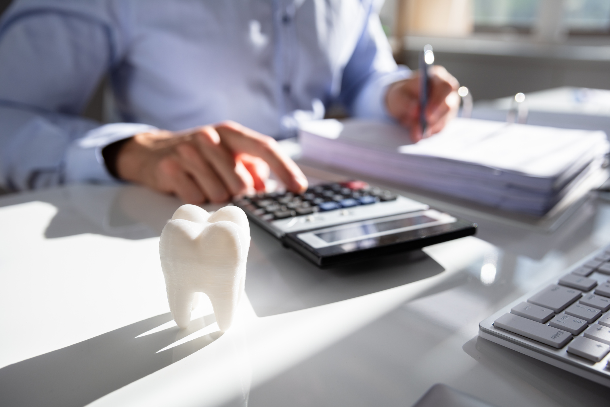 Close-up of a 3D tooth model in front of a businessperson working on a calculator.